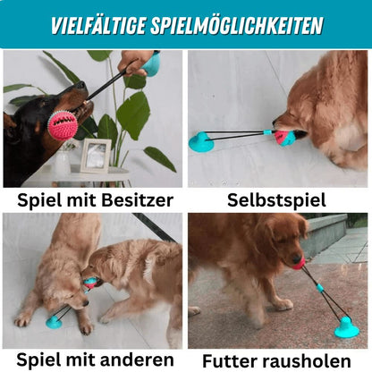 Hundesaugnapf-Zerrspielzeug