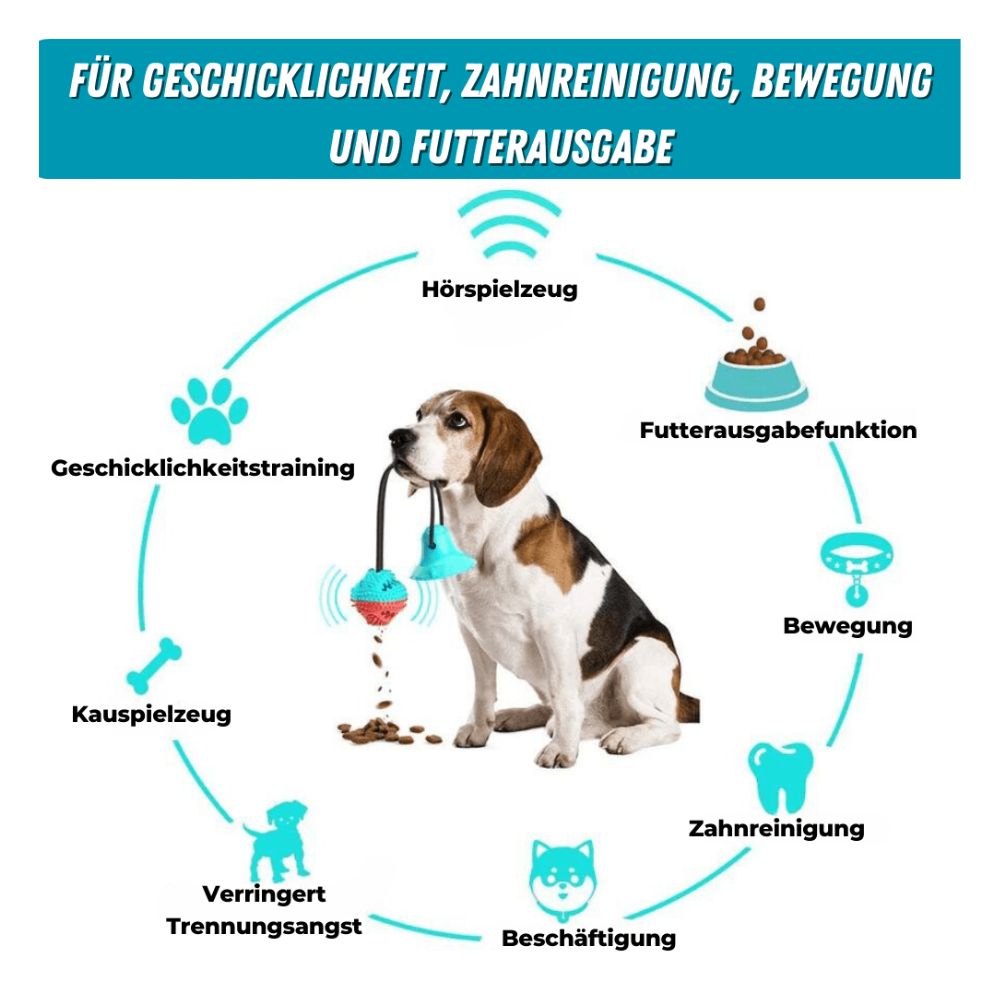 Hundesaugnapf-Zerrspielzeug