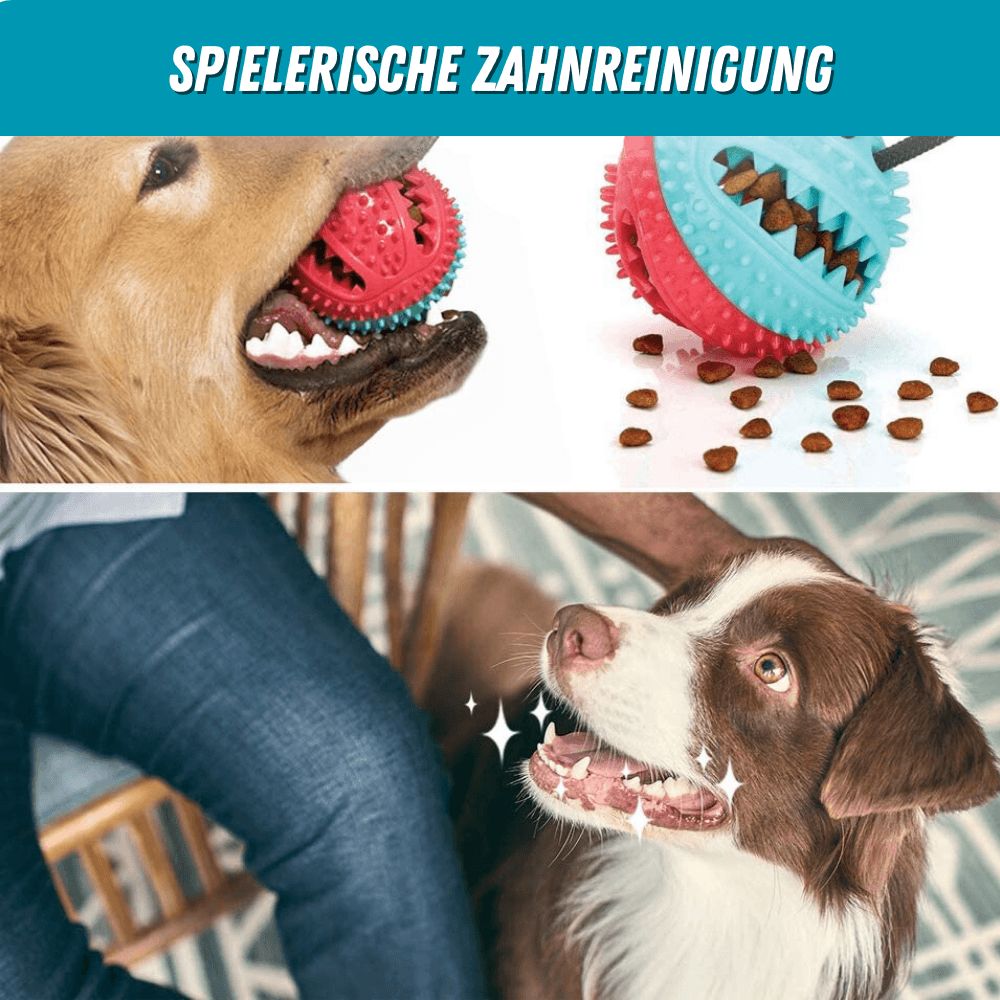 Hundesaugnapf-Zerrspielzeug