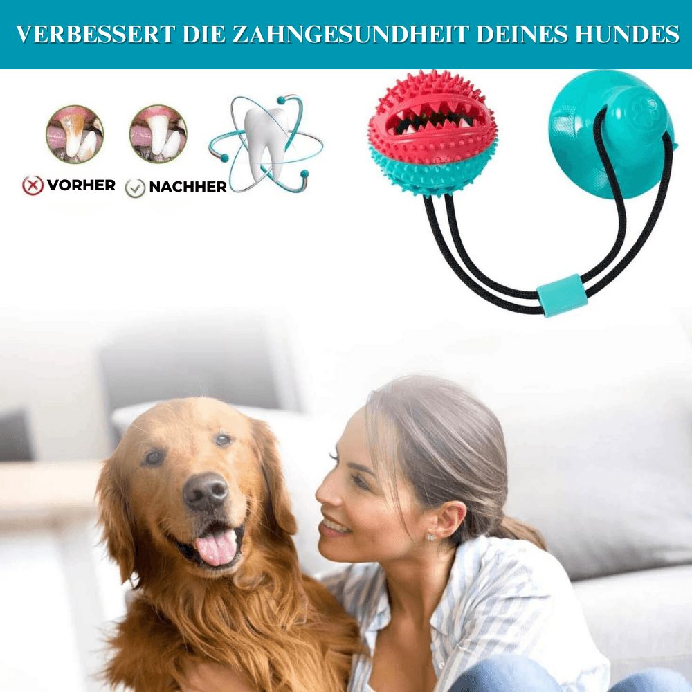 Hundesaugnapf-Zerrspielzeug